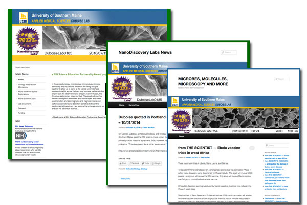 USM - Nano Discovery Lab Web Development, SEO, Blogs