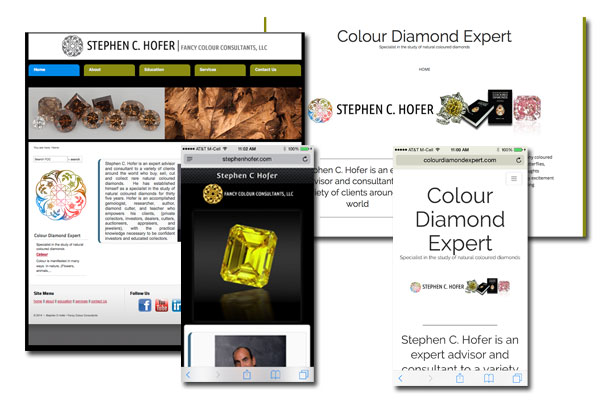 Web Development, SEO, Blog, Mobile and Tablet enabled